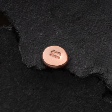 Zodiac Stamp Aquarius Singular Earstud 黃道十二宮 水瓶座 耳釘 單支