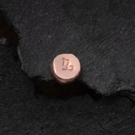 Zodiac Stamp Capricorn Singular Earstud 黃道十二宮 摩羯座 耳釘 單支