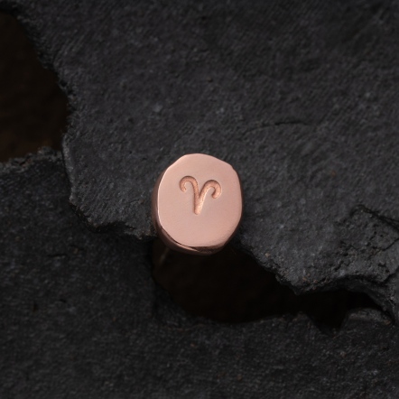Zodiac Stamp Aries Singular Earstud 黃道十二宮 白羊座 耳釘 單支