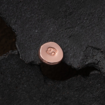 Zodiac Stamp Cancer Singular Earstud 黃道十二宮 巨蟹座 耳釘 單支