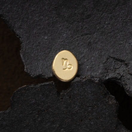 Zodiac Stamp Capricorn Singular Earstud 黃道十二宮 摩羯座 耳釘 單支