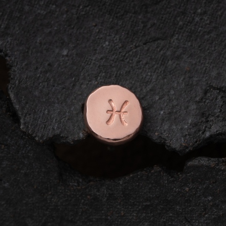 Zodiac Stamp Pisces Singular Earstud 黃道十二宮 雙魚座 耳釘 單支