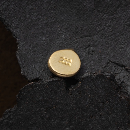 Zodiac Stamp Aquarius Singular Earstud 黃道十二宮 水瓶座 耳釘 單支
